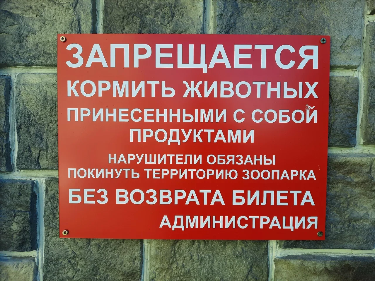 Фото Контактный зоопарк "Горки" (Коломна) - развлечение в Москве | Досугатор